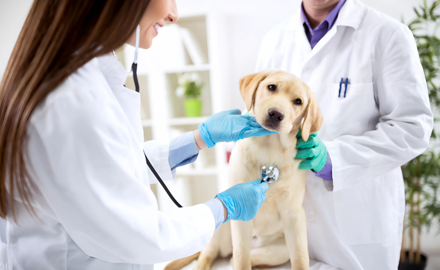 Preparación para el Examen de Ingreso a la Carrera de M. Veterinaria y Zootecnia – UMSS